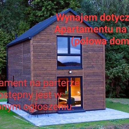 Dzikie Lisko - Apartament Z Klimatyzacja 莱斯科 外观 照片