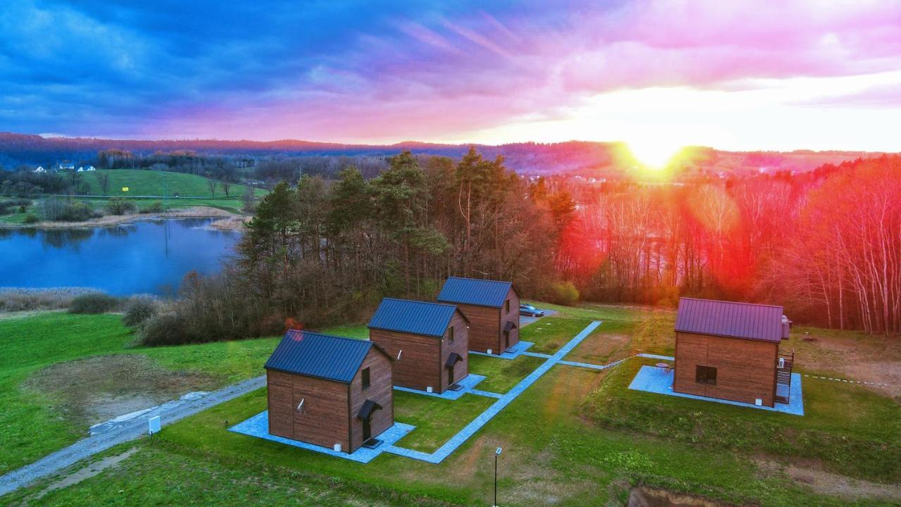 Dzikie Lisko - Apartament Z Klimatyzacja 莱斯科 外观 照片